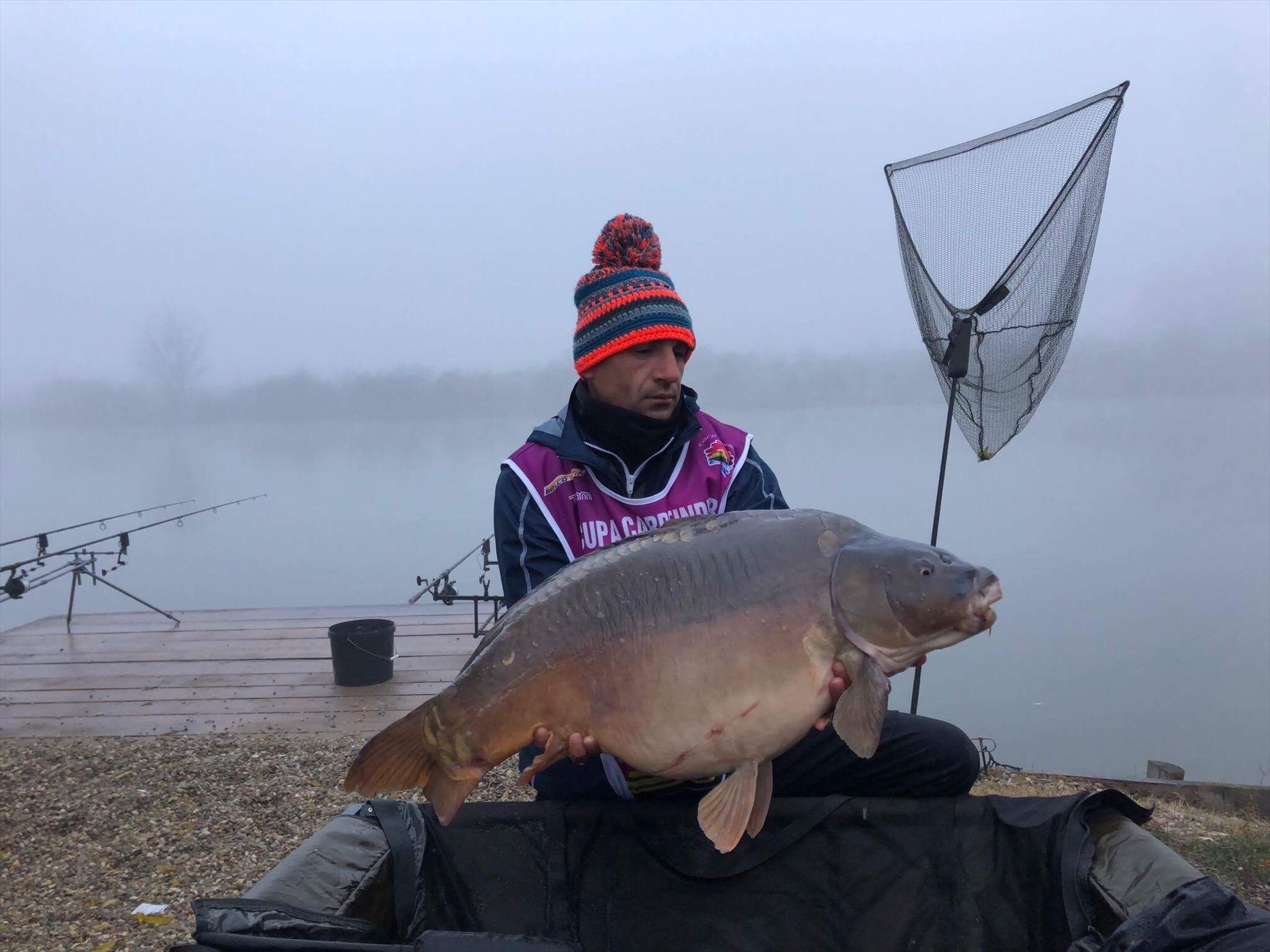 Fish - a8e493bf-5de7-427e-af31-28c87041784a.jpeg